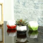 Multicolor Ceramic Small Planter Pots - Set of 3