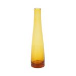 Stylish Transparent Orange Vase