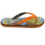 Men's Multicolored EVA Flip Flops