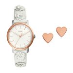 Fossil Analog Silver Dial Women'S Watch - Es4383Set