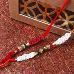 Rakhi for 2 Loving Brothers