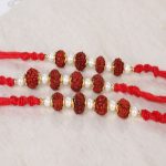 Trio Rudraksha and Pearl Beads Rakhi