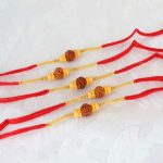 Set of Five Single Rudraksha Rakhi