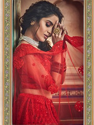 Red Colour Net Dori & Multi Work Lehenga Choli