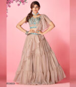 Rose Taupe Handwork & Thread Embroidered Chiffon Semi Stitched Lehenga